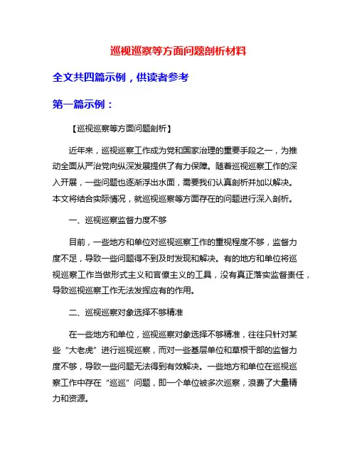 巡视巡察等方面问题剖析材料