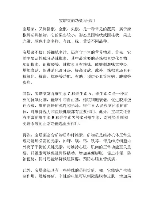 宝塔菜的功效与作用