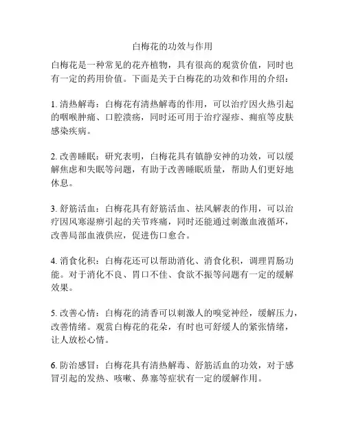 白梅花的功效与作用