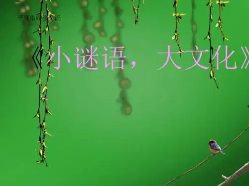 经验交流小谜语大文化.wps