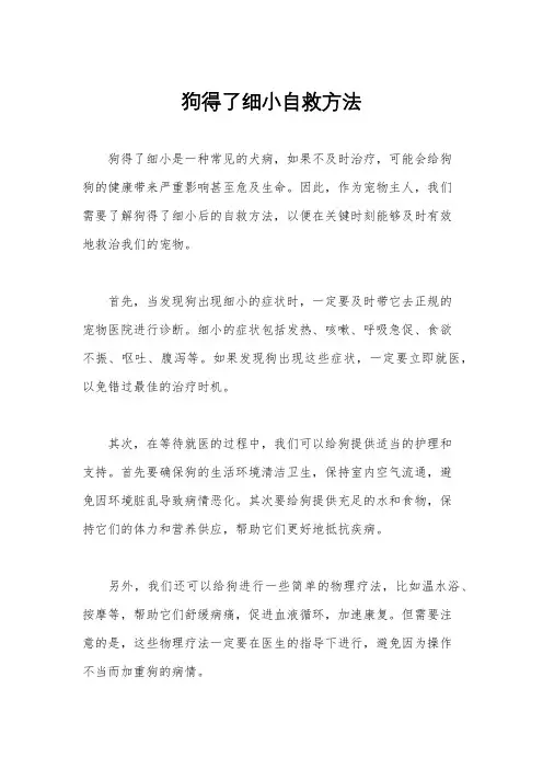 狗得了细小自救方法
