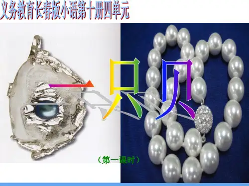 第四板块 一只贝PPT课件