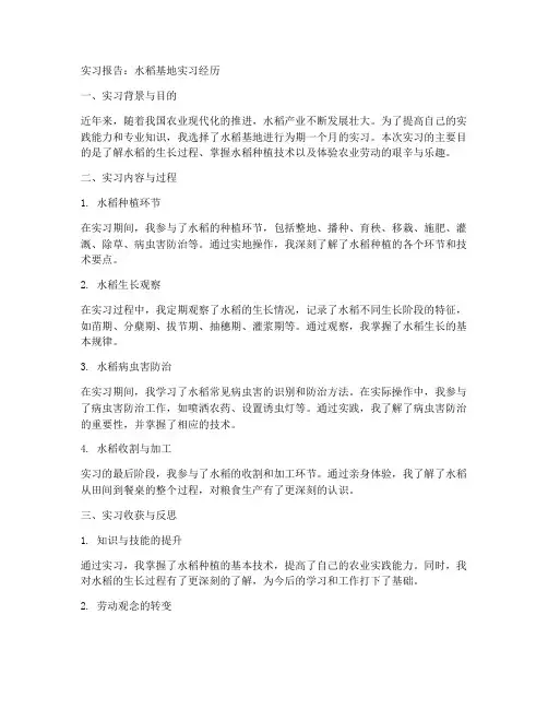 水稻基地实习报告