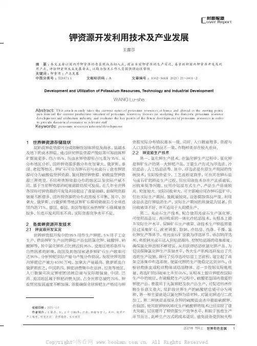 钾资源开发利用技术及产业发展
