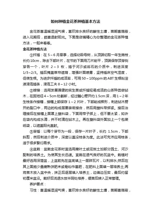 如何种植金花茶种植基本方法