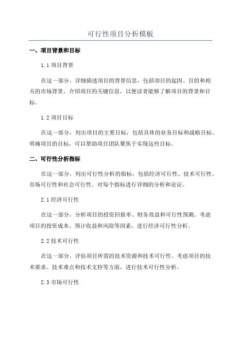 可行性项目分析模板