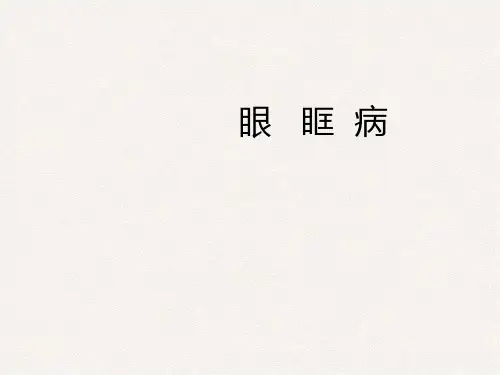 眼   眶  病