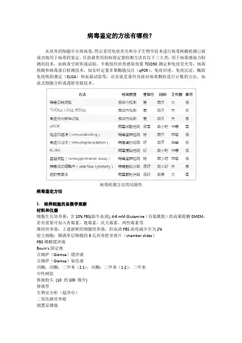 病毒鉴定的方法有哪些