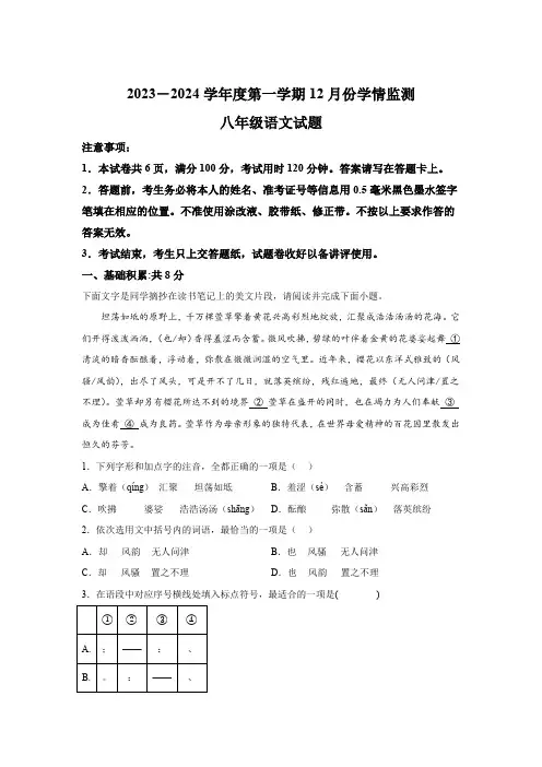 山东省济宁市金乡县2023-2024学年八年级上学期12月月考语文试题(含解析)