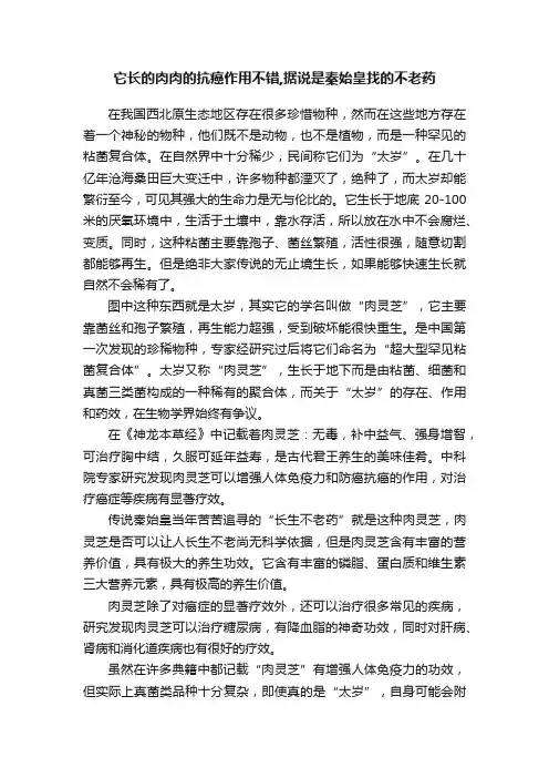它长的肉肉的抗癌作用不错,据说是秦始皇找的不老药