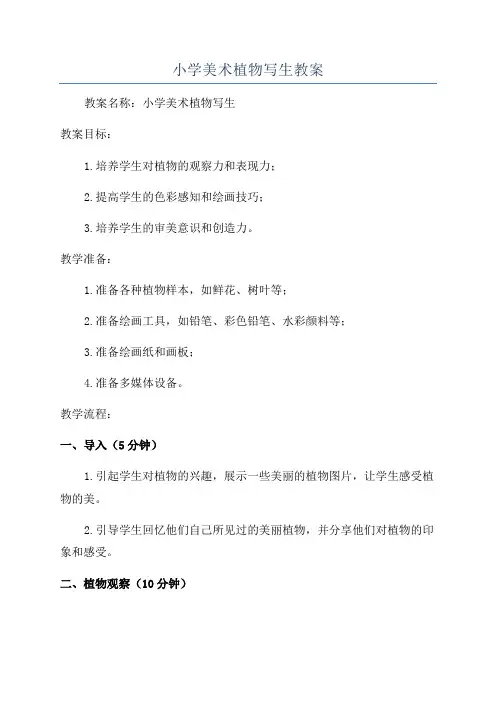 小学美术植物写生教案