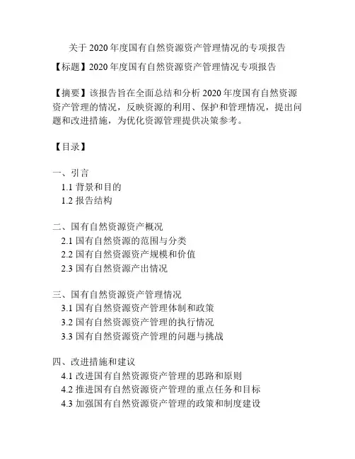 关于2020年度国有自然资源资产管理情况的专项报告