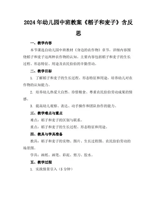 2024年幼儿园中班教案《稻子和麦子》含反思