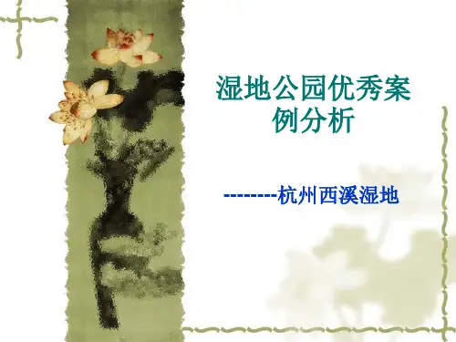 湿地公园优秀案例分析