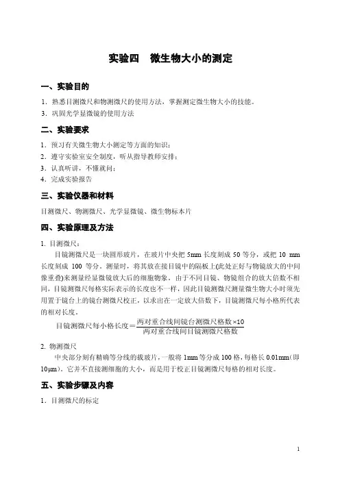 微生物大小的测定-实验四