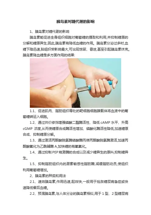 胰岛素对糖代谢的影响