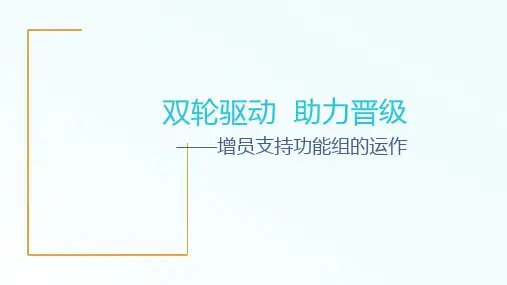 保险增员支持功能组的运作含备注