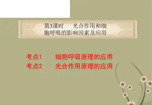 高中生物 专题2 第3课时 光合作用和细胞呼吸的影响因素及应用课件
