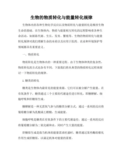 生物的物质转化与能量转化规律