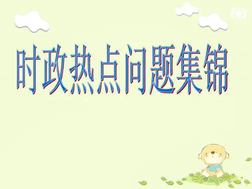 时政热点问题集锦