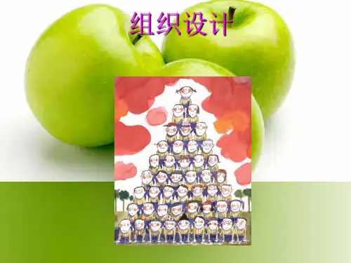 组织 设计