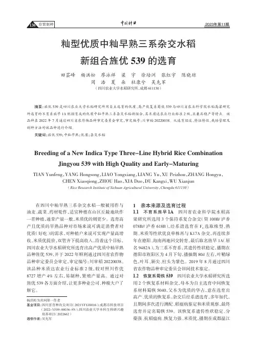 籼型优质中籼早熟三系杂交水稻新组合旌优539的选育