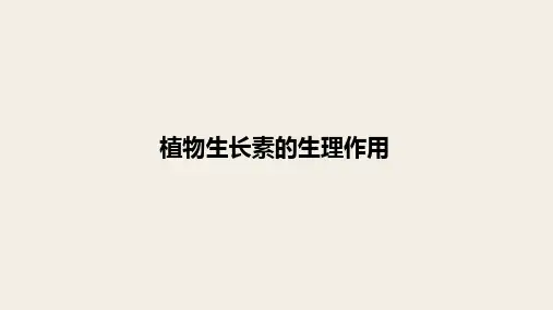 高三生物一轮复习课件：第33讲   植物生长素的生理作用