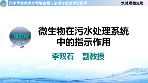 微生物在污水处理系统中的指示作用.