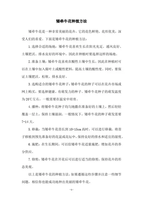 矮牵牛花种植方法