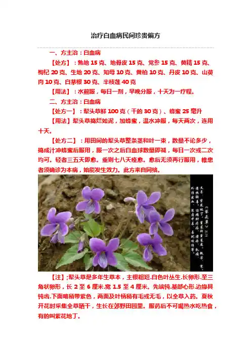 治疗白血病民间珍贵偏方