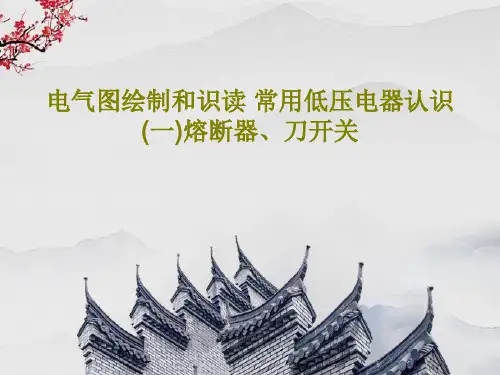 电气图绘制和识读 常用低压电器认识(一)熔断器、刀开关28页PPT