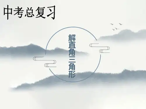 中考数学专题复习：解直角三角形课件