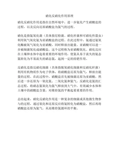 硝化反硝化作用原理