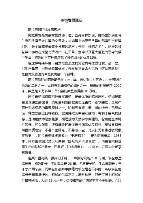 驼绒发展现状