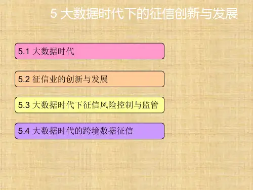 第五章  大数据时代下的征信创新与发展  《征信理论与实务》PPT课件