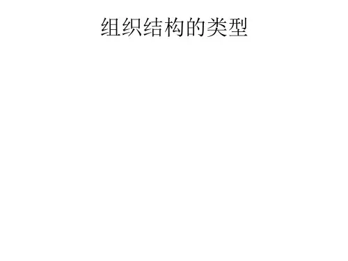 组织结构的类型