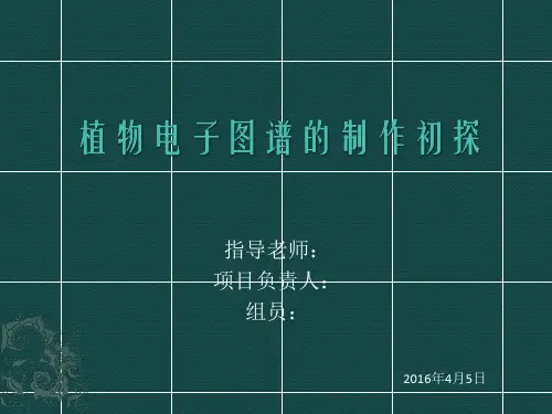 大学生创新PPT
