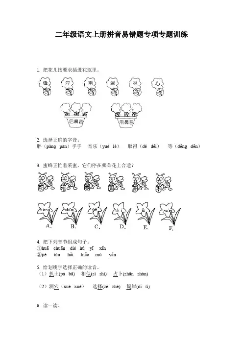二年级语文上册拼音易错题专项专题训练