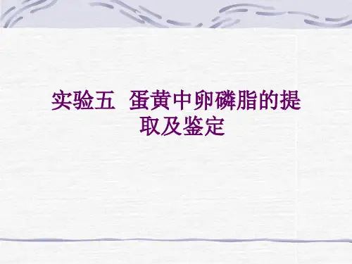 实验五蛋黄中卵磷脂的提取及鉴定