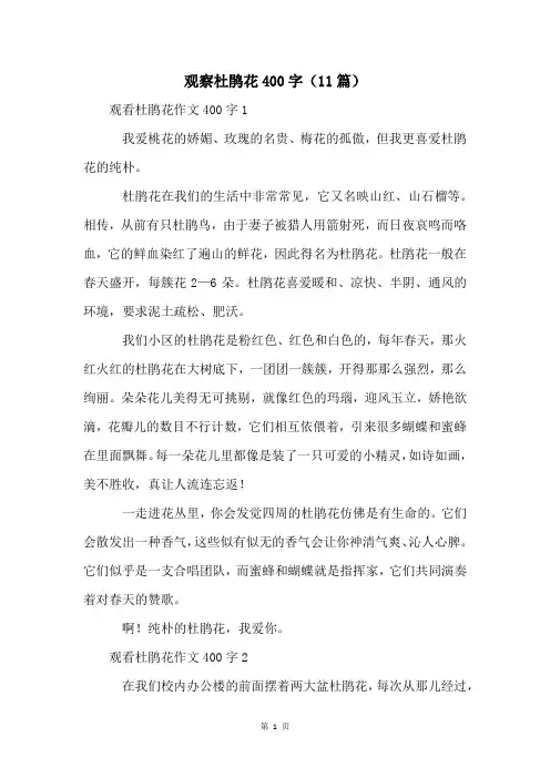 观察杜鹃花400字(11篇)