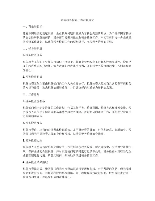 企业税务检查工作计划范文