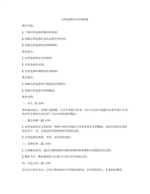 自然选择初中生物教案