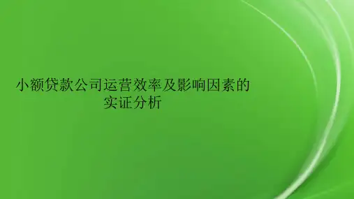 小额贷款公司运营效率及影响因素的实证分析