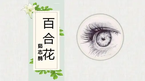 高中语文百合花公开课PPT课件