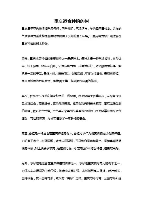 重庆适合种植的树