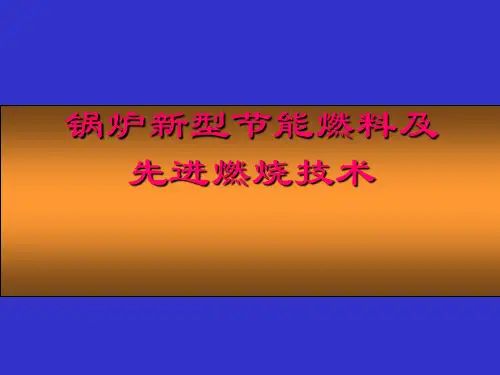 先进燃烧技术
