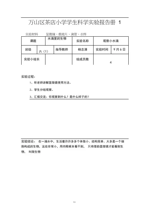 六年级上册实验报告单