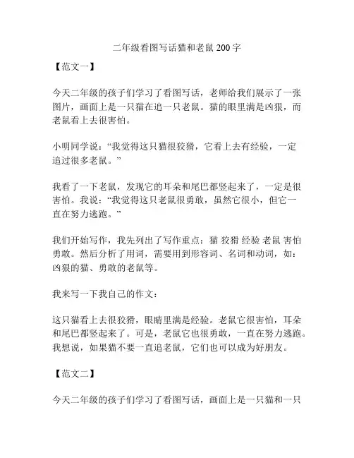 二年级看图写话猫和老鼠200字