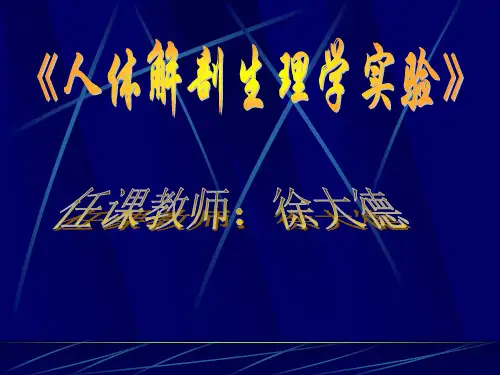 实验一_基本组织