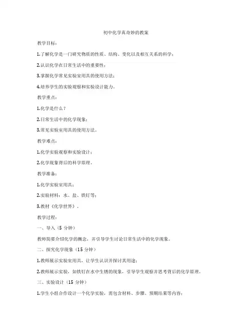 初中化学真奇妙的教案